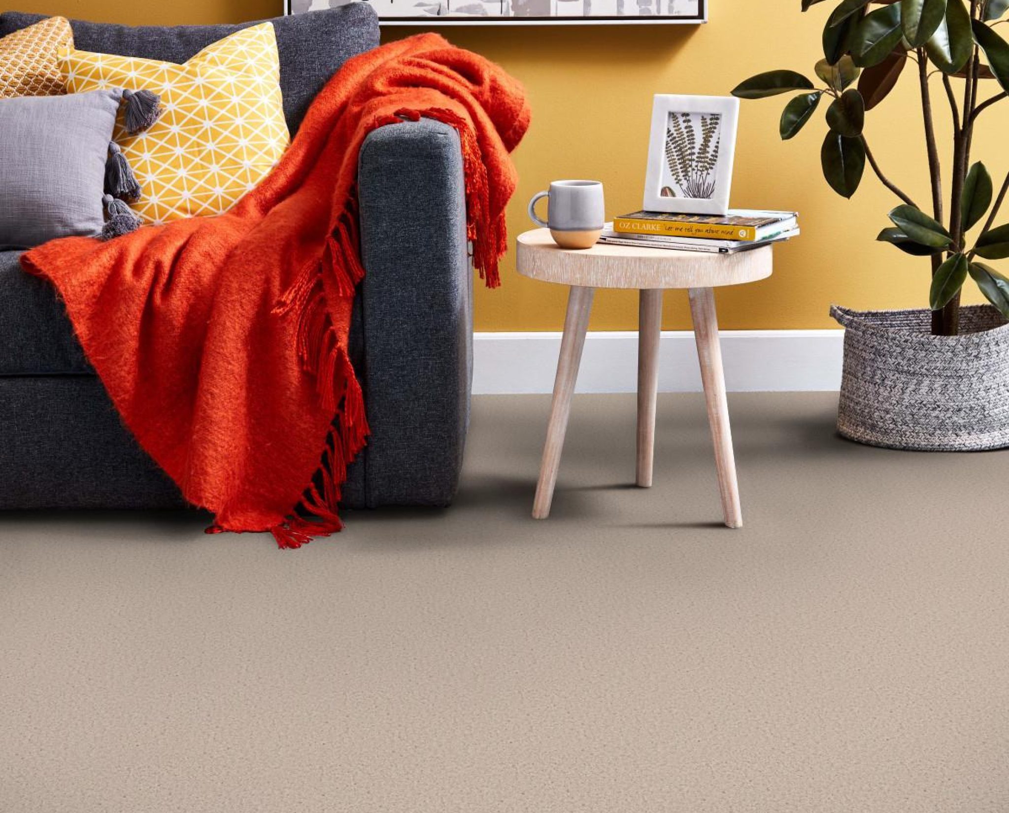 Carpets in France
